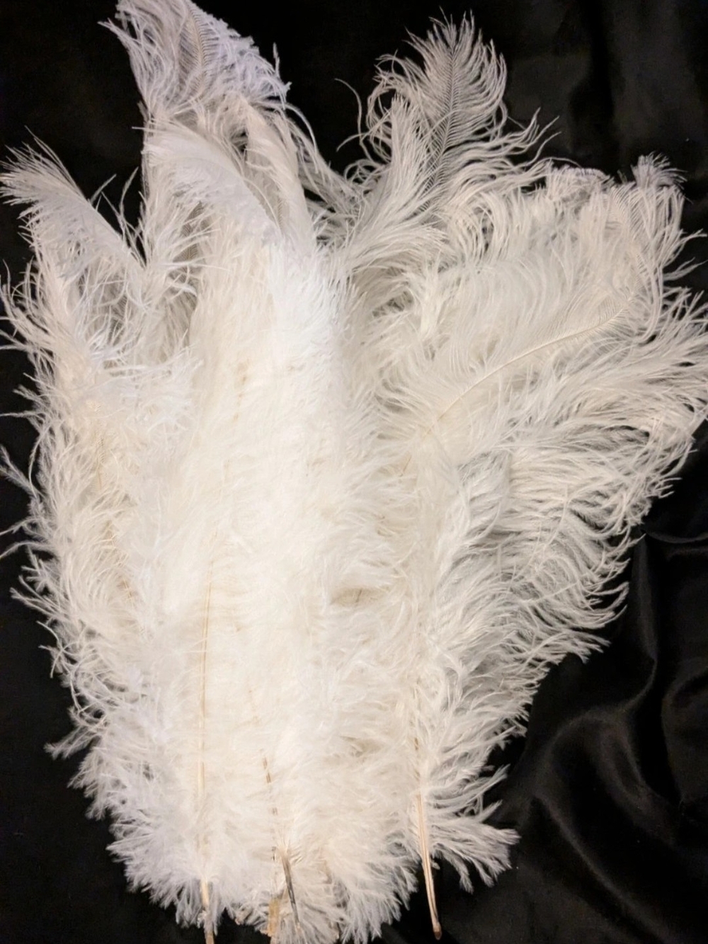 White Decorative Ostrich Feather Plumes - 14 To 16 Inches Plumes